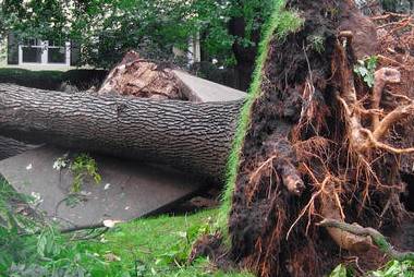 Storm Damage