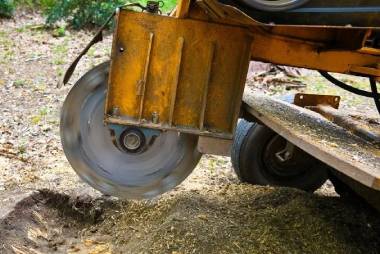 Stump Removal